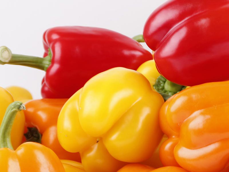 FRESH CAPSICUM EXPORTER